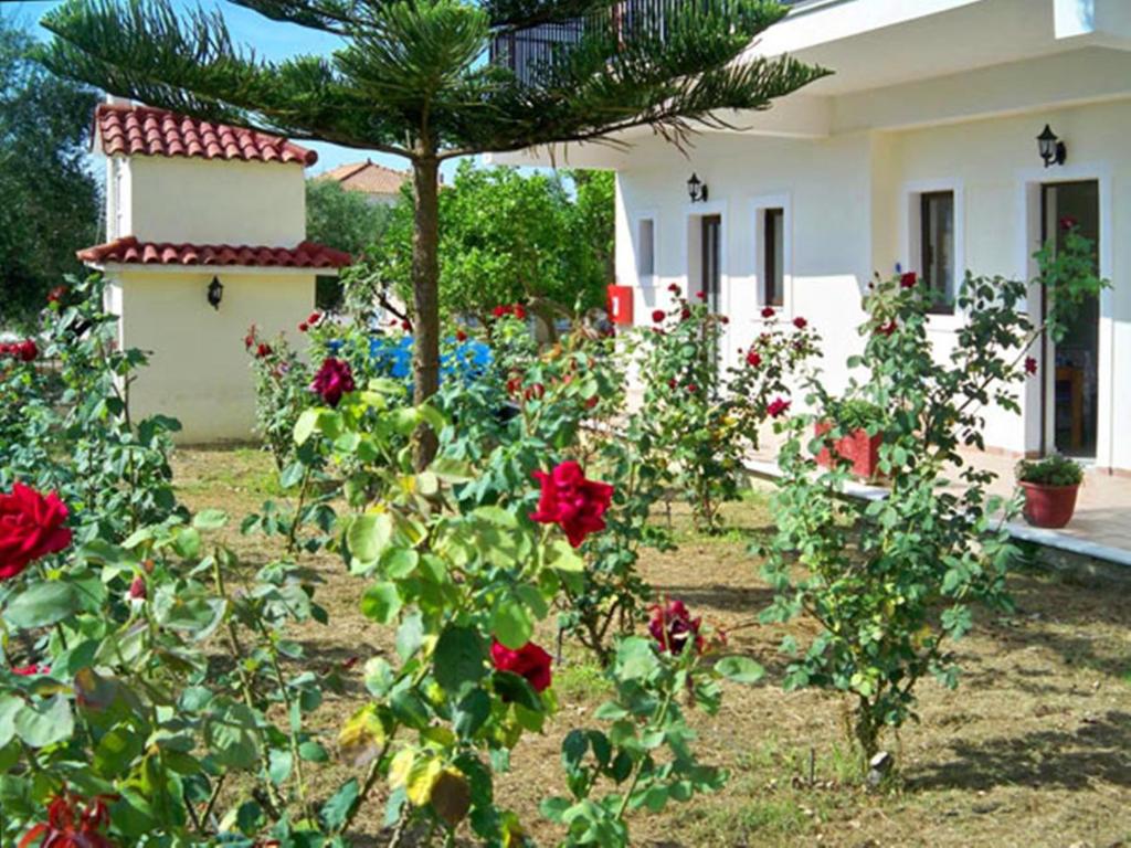 Red Rose Garden room 6